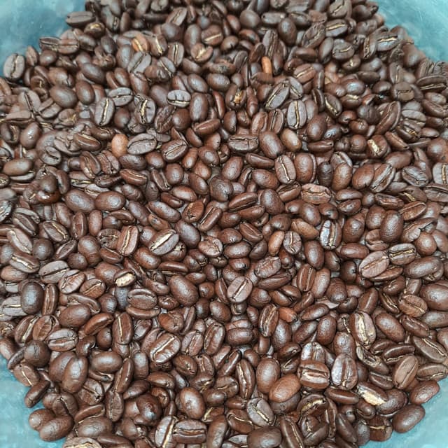 Biji kopi arabika Toraja yang dikirim pelanggan